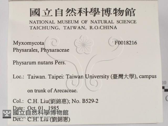 登錄號:F0018216藏品圖，第2張