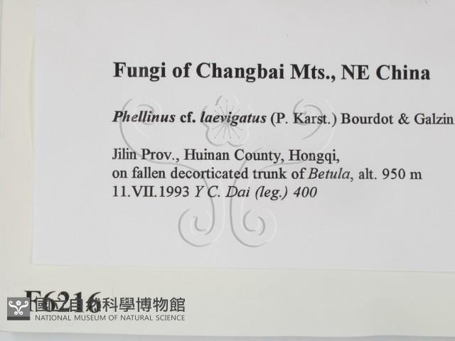 登錄號:F0006216藏品圖，第2張