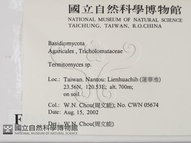 登錄號:F0016216藏品圖，第2張
