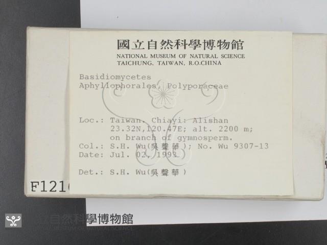 登錄號:F0001216藏品圖，第2張