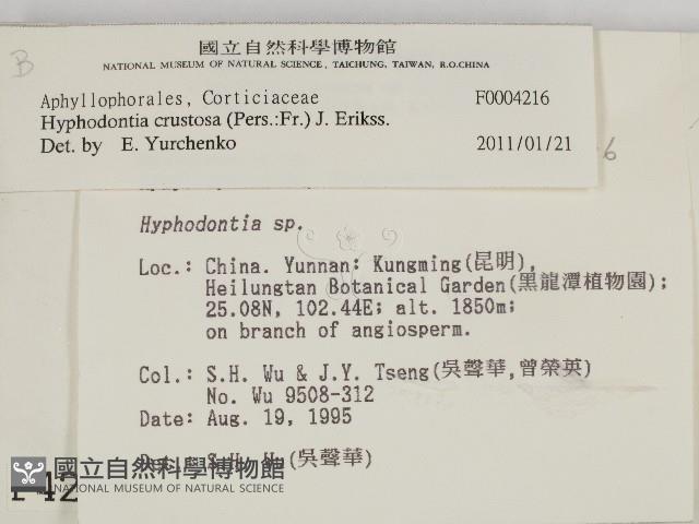 登錄號:F0004216藏品圖，第2張