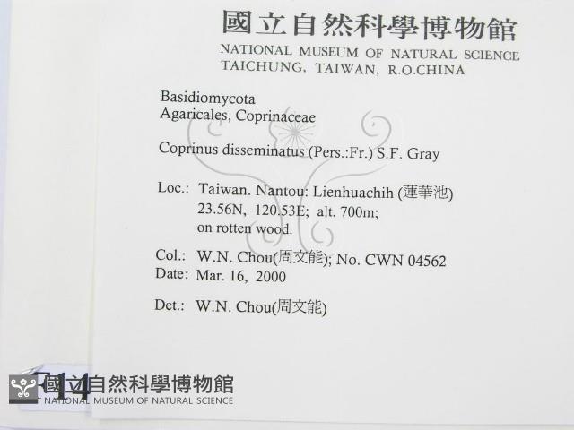 登錄號:F0014216藏品圖，第2張