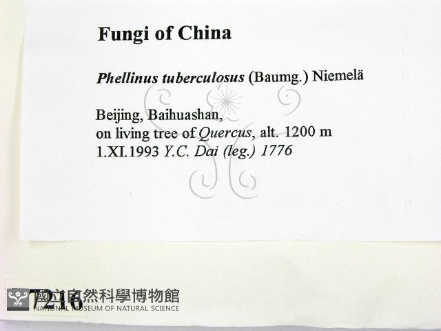 登錄號:F0007216藏品圖，第2張