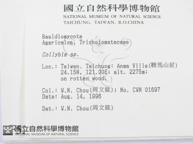 登錄號:F0005216藏品圖，第2張