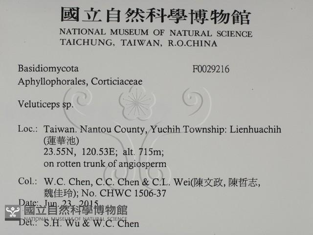 登錄號:F0029216藏品圖，第2張