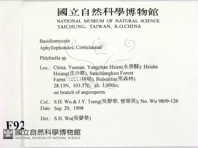 登錄號:F0009216藏品圖，第2張