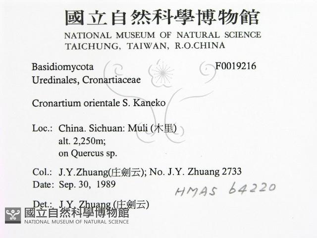 登錄號:F0019216藏品圖，第2張