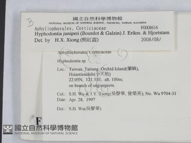 登錄號:F0008616藏品圖，第2張