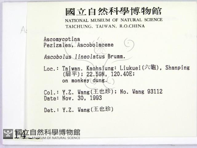 登錄號:F0001416藏品圖，第2張