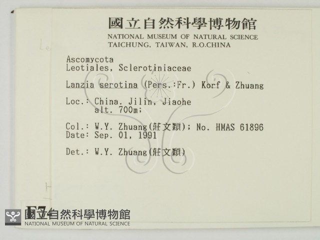 登錄號:F0007416藏品圖，第2張