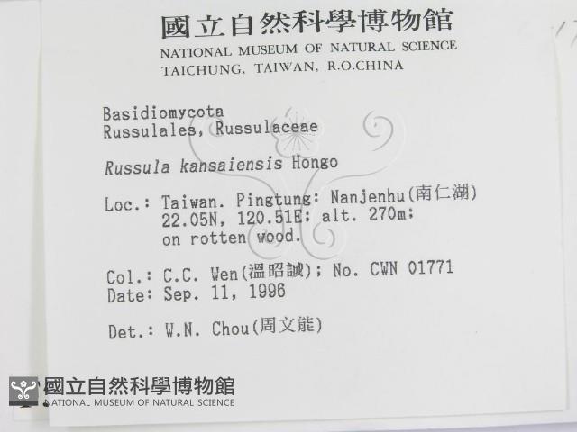 登錄號:F0005416藏品圖，第2張