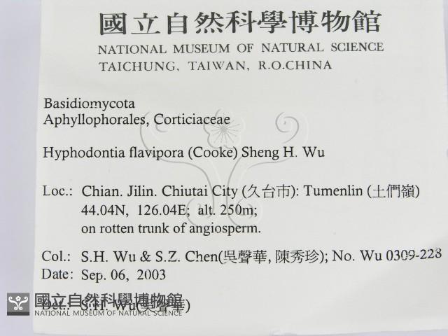 登錄號:F0015416藏品圖，第2張