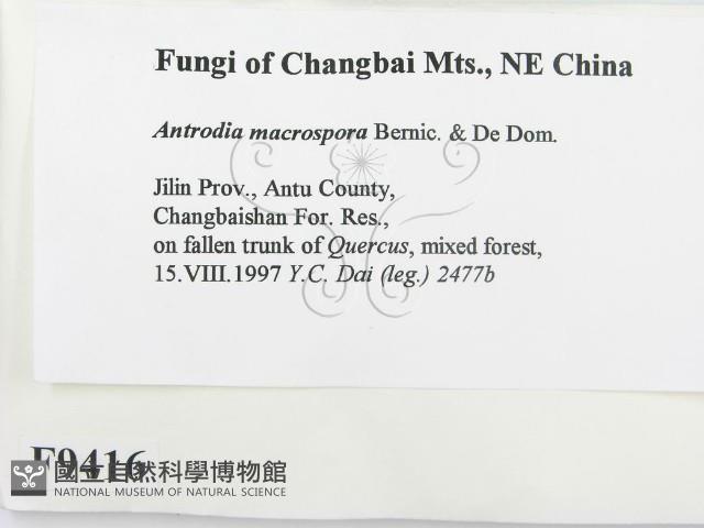 登錄號:F0009416藏品圖，第2張