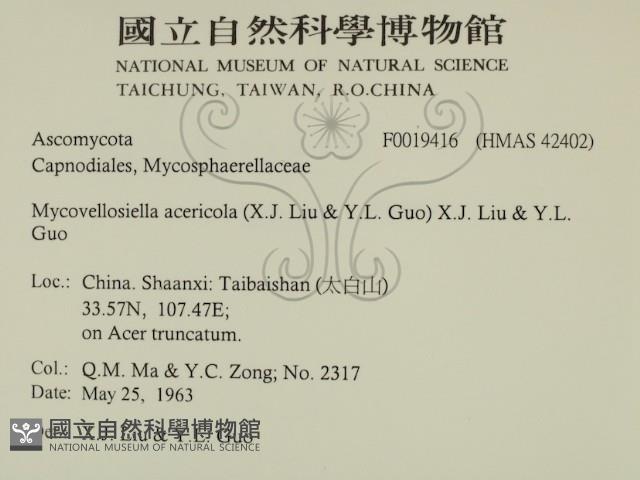 登錄號:F0019416藏品圖，第2張