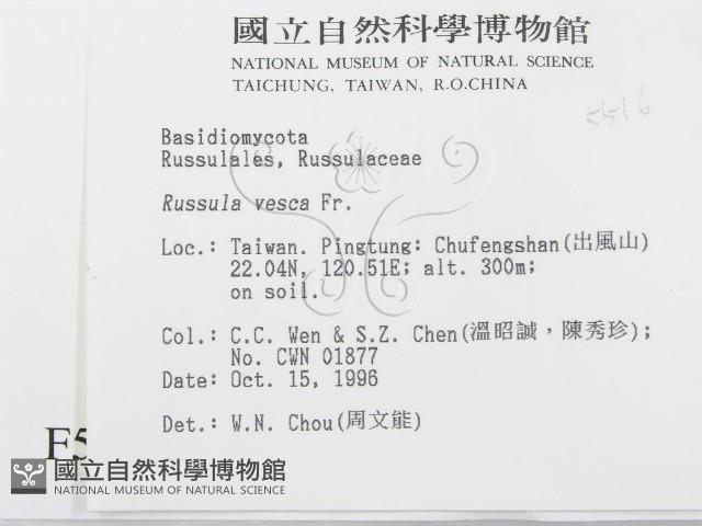 登錄號:F0005516藏品圖，第2張