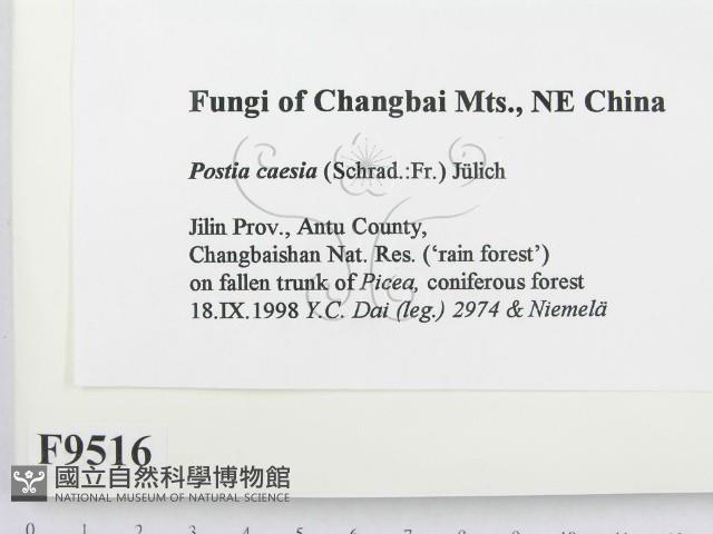 登錄號:F0009516藏品圖，第2張