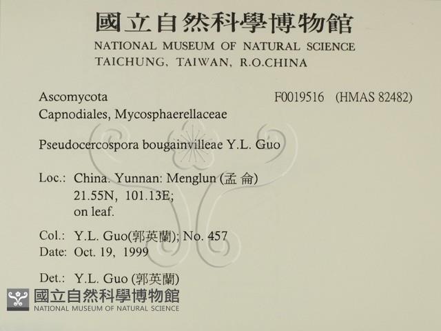 登錄號:F0019516藏品圖，第2張