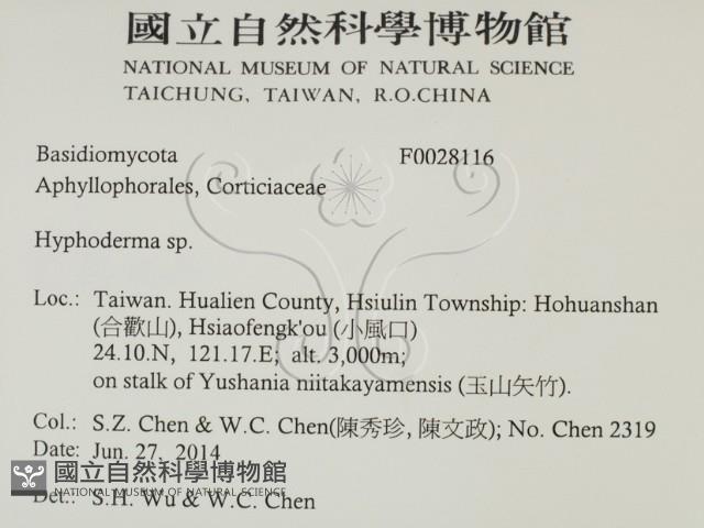 登錄號:F0028116藏品圖，第2張