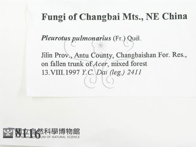 登錄號:F0008116藏品圖，第2張