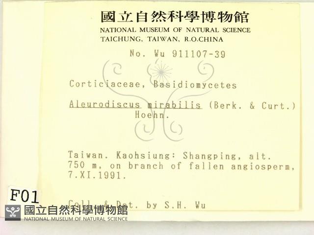 登錄號:F0000116藏品圖，第2張