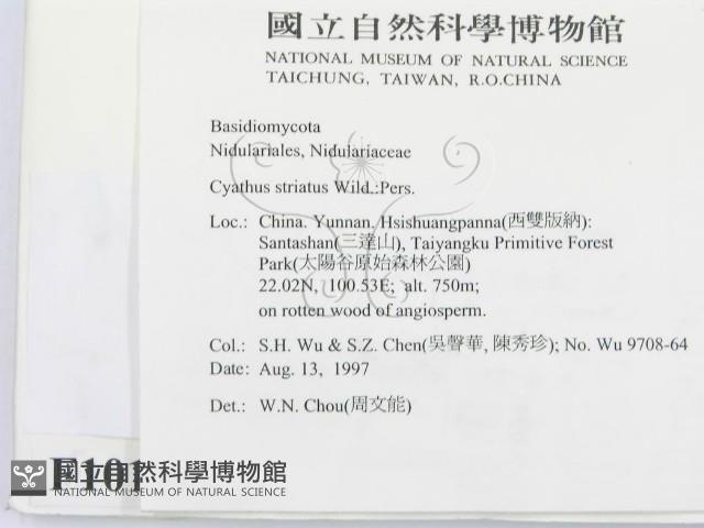 登錄號:F0010116藏品圖，第2張