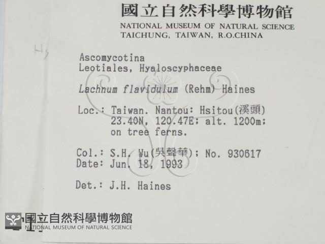 登錄號:F0001116藏品圖，第2張