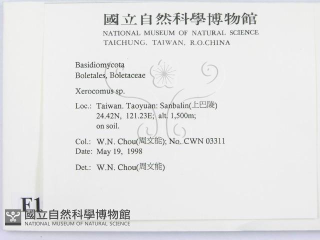 登錄號:F0011116藏品圖，第2張