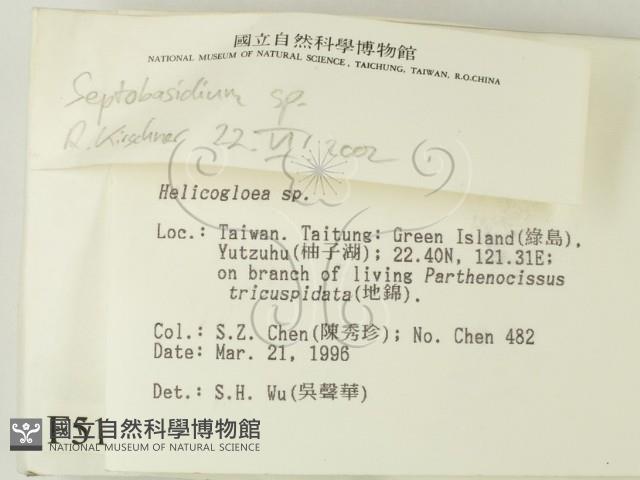 登錄號:F0005116藏品圖，第2張