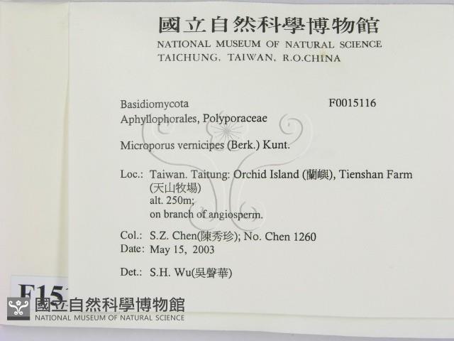 登錄號:F0015116藏品圖，第2張