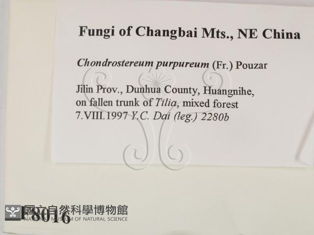 登錄號:F0008016藏品圖，第2張