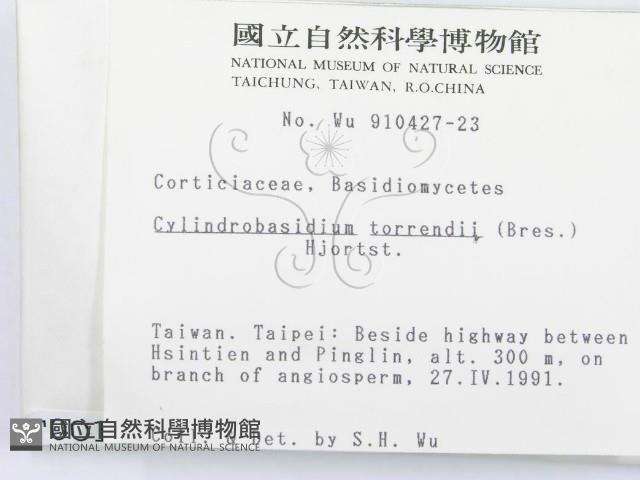 登錄號:F0000016藏品圖，第2張
