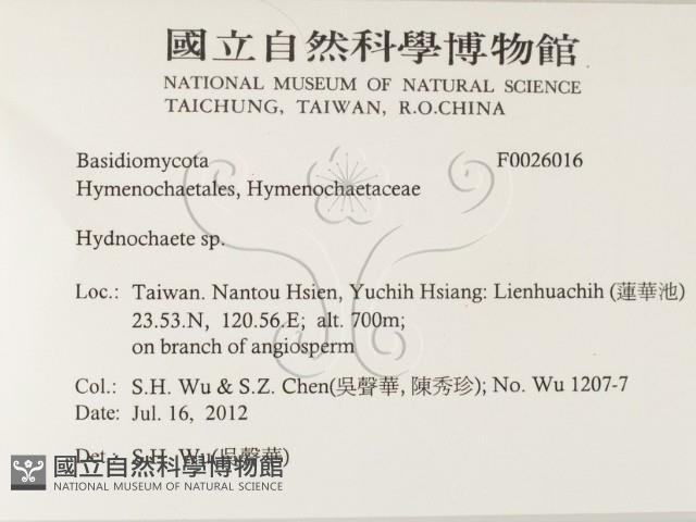 登錄號:F0026016藏品圖，第2張