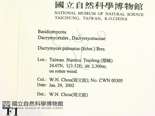 登錄號:F0016016藏品圖，第2張