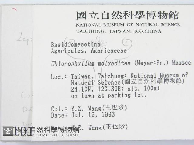 登錄號:F0001016藏品圖，第2張
