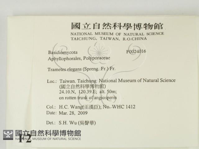 登錄號:F0024016藏品圖，第2張