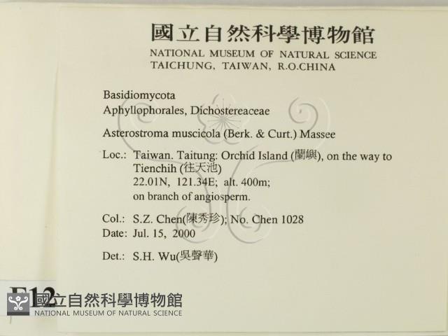 登錄號:F0012016藏品圖，第2張