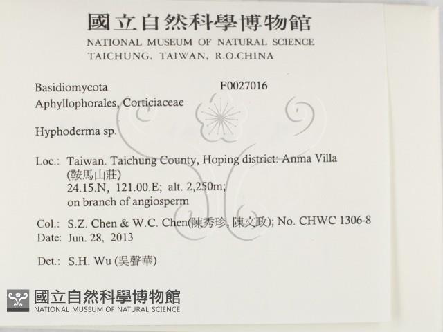 絲皮菌屬藏品圖，第2張