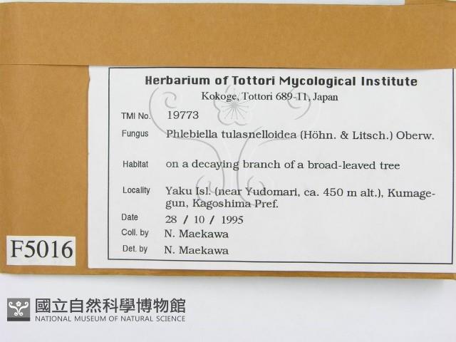 登錄號:F0005016藏品圖，第2張