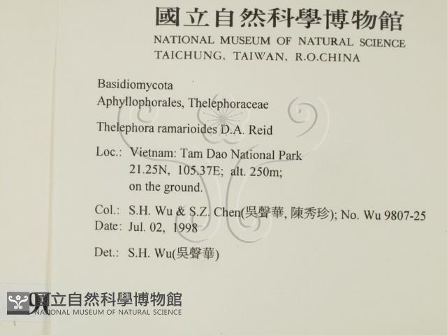 登錄號:F0009016藏品圖，第2張