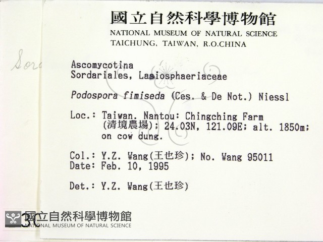 登錄號:F0003016藏品圖，第2張