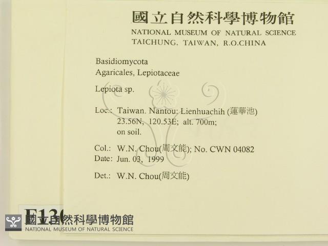 登錄號:F0013016藏品圖，第2張