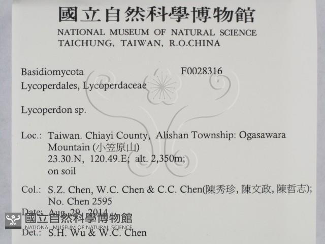 登錄號:F0028316藏品圖，第2張