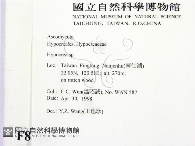 登錄號:F0008316藏品圖，第2張