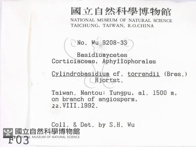 登錄號:F0000316藏品圖，第2張