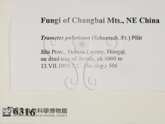 登錄號:F0006316藏品圖，第2張