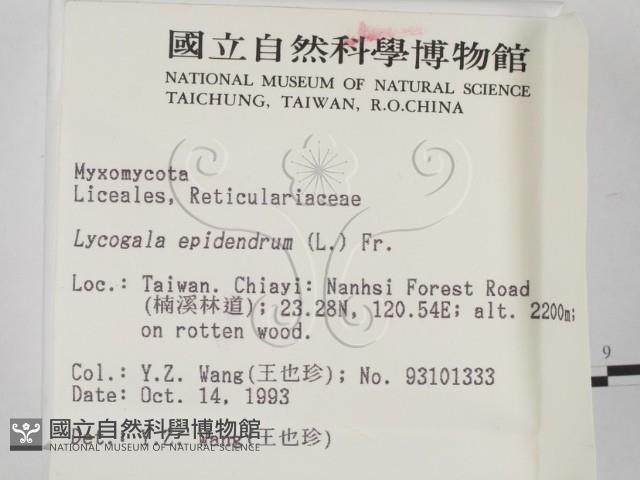 登錄號:F0001316藏品圖，第2張