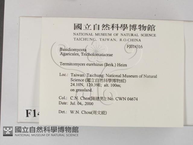 登錄號:F0014316藏品圖，第2張