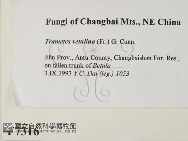 登錄號:F0007316藏品圖，第2張