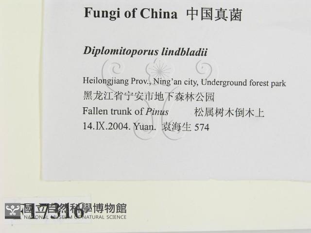 登錄號:F0017316藏品圖，第2張