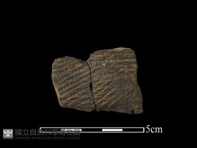 陶片藏品圖，第1張